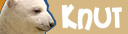 knut.jpg