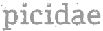 picidae Logo