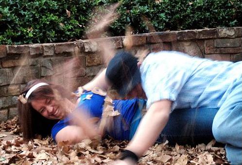 leaffight.jpg