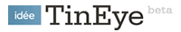 TinEye.com Logo