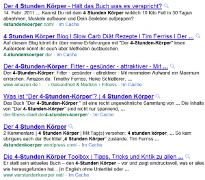 Der_4-Stunden-Körper_auf_Google