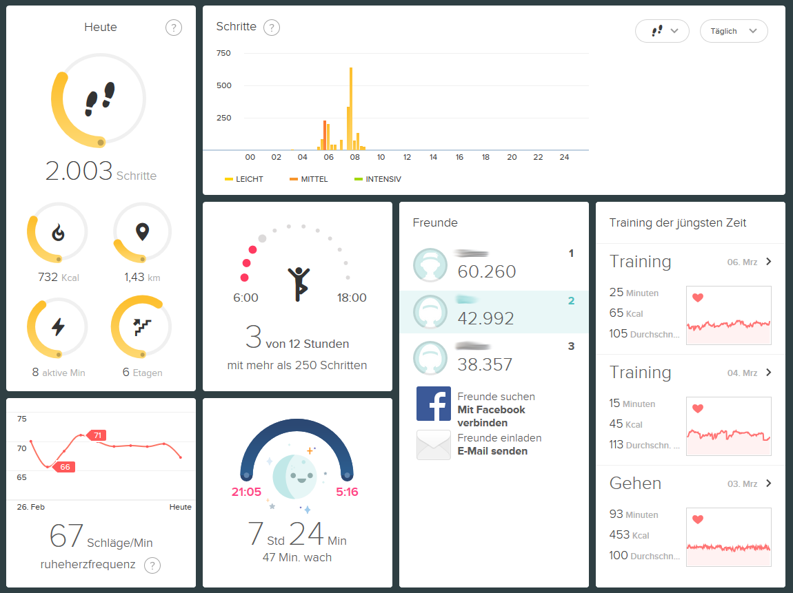 Fitbit Dashboard Browser