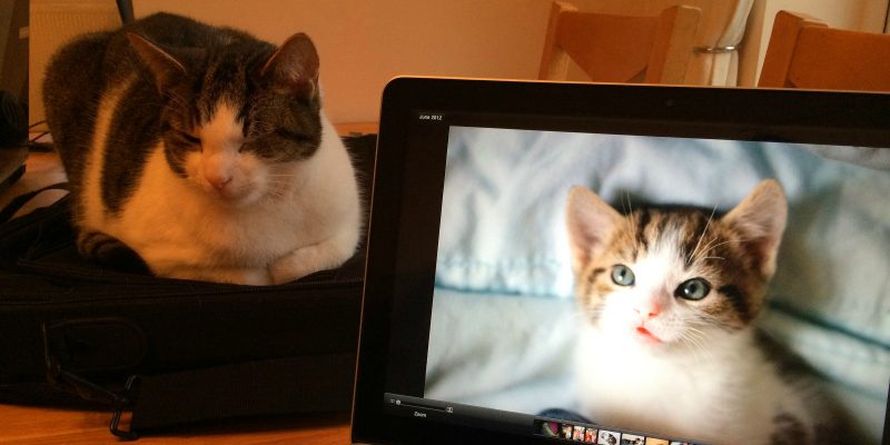 When He Was Young - Part One (adapted) (Image by Phil Dolby [CC BY 2.0] via flickr)