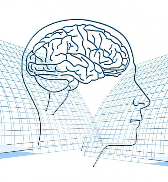 Gehirn (image by geralt [CC0 Public Domain] via pixabay)1-1