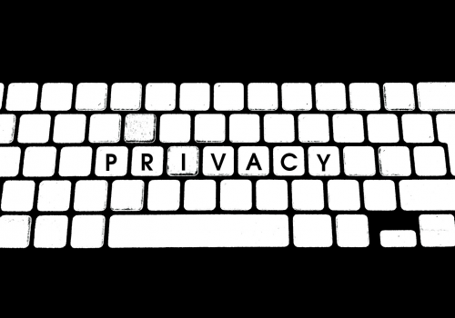 Privacy (adapted) (Image by g4ll4is [CC BY-SA 2.0] via flickr)