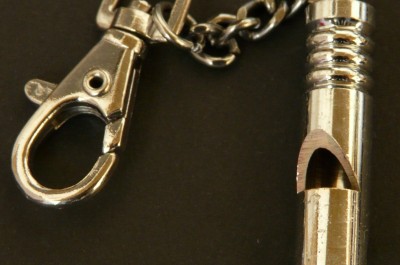 Pfeife Metall (Image: Hans [CC0 Public Domain], via Pixabay