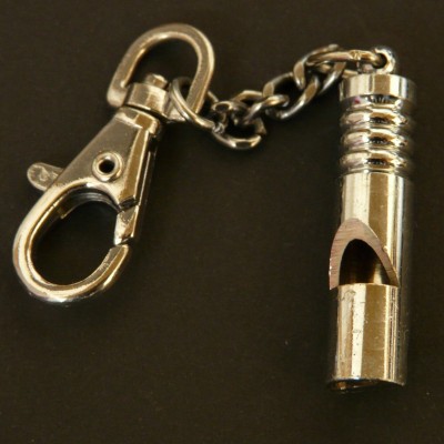 Pfeife Metall (Image: Hans [CC0 Public Domain], via Pixabay