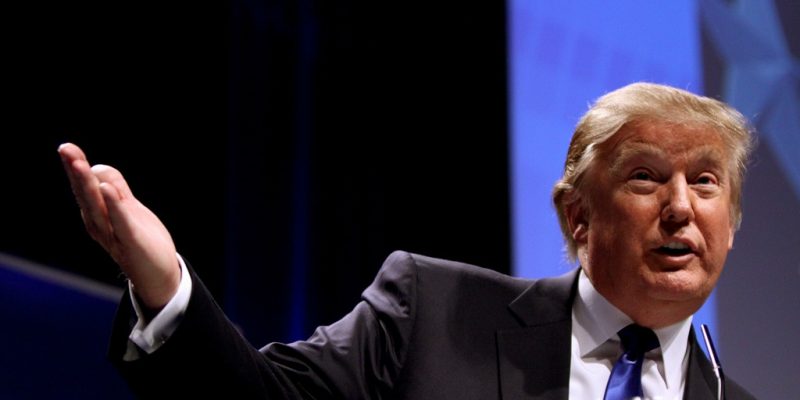 Donald Trump (adapted) (Image by Gage Skidmore [CC BY-SA 2.0] via flickr)