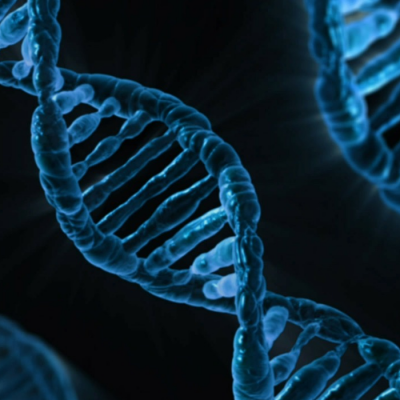 DNA (Image by PublicDomainPictures [CC0Public Domain]) via Pixarbay