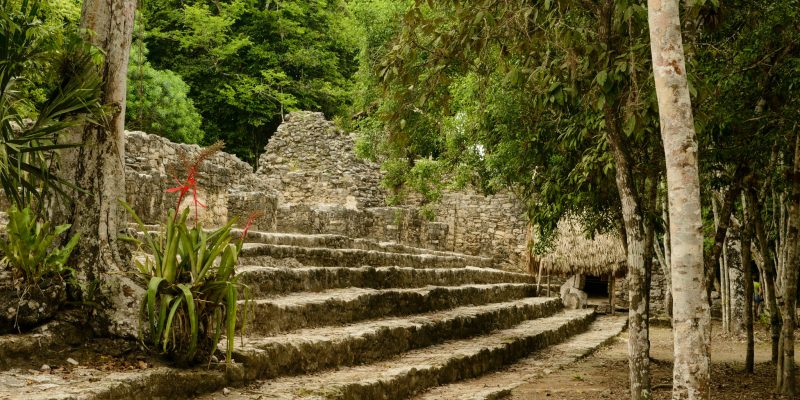 Coba 2 (adapted) (Image by Son of Groucho [CC BY 2.0] via flickr)