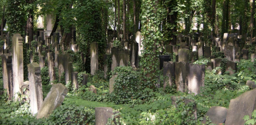 friedhof (adapted) (Image by Martin Abegglen [CC BY-SA 2.0] via Flickr)