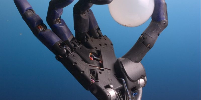 birne(image By Richard Greenhill and Hugo Elias[CC-BY-SA-3.0] via Wikimedia Commons)