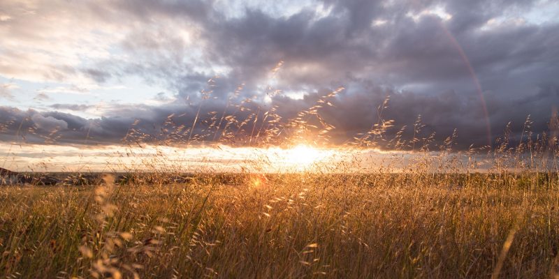 sunset(image by Unsplash[CC0 Public Domain] via Pixabay)