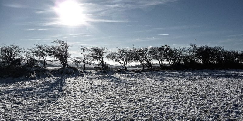 Irland, Ireland, Natur, Sonne, Schnee, Frost, Winter, Sonnenstrahlen, Weihnachten
