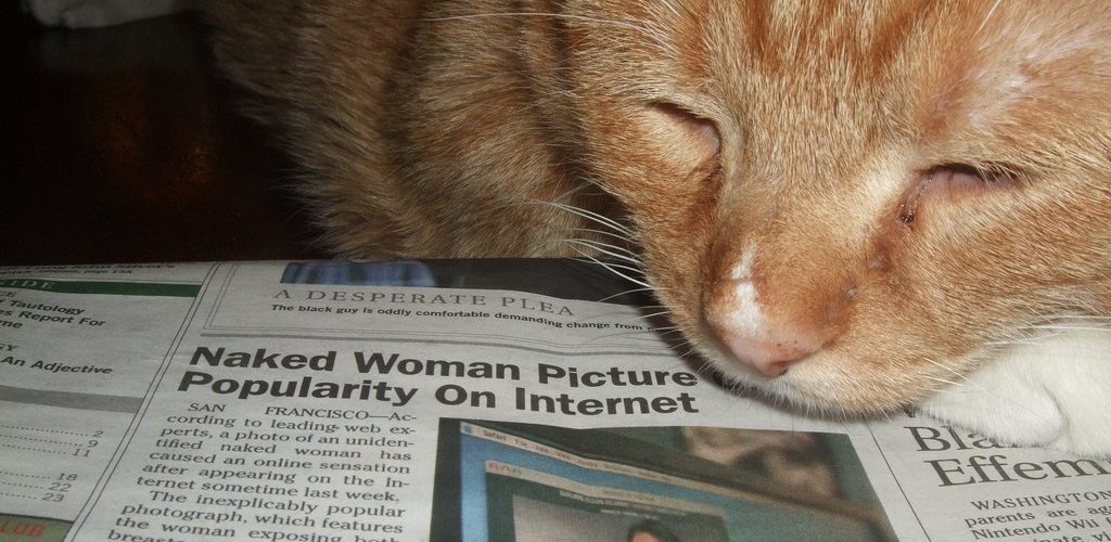 Cat enjoys porn (adapted) (Image by magerleagues [CC BY SA 2.0], via flickr)