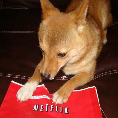 conclusion netflix envelopes_tasty (adapted)(Image by Taro the Shiba Inu [CC BY 2.0] via Flickr)