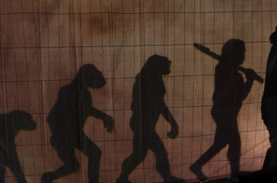 Evolution (adapted) (Image by Thomas Wensing [CC BY-SA 2.0] via flickr)