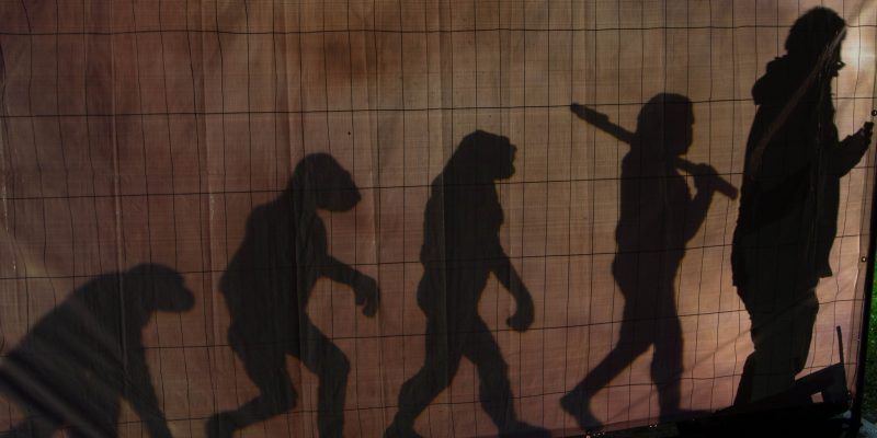 Evolution (adapted) (Image by Thomas Wensing [CC BY-SA 2.0] via flickr)