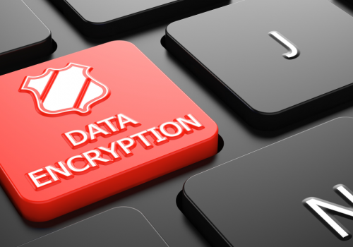 Data Encryption (adapted) (Image by tashatuvango via AdobeStock)