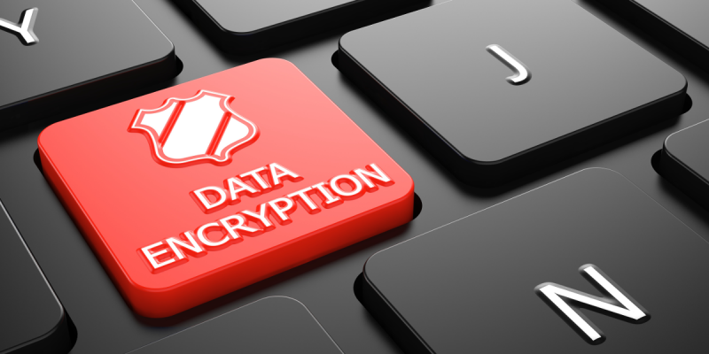 Data Encryption (adapted) (Image by tashatuvango via AdobeStock)