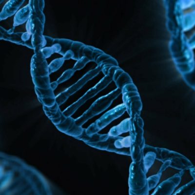 DNA (adapted) (Image by PublicDomainPictures [CC0 Public Domain] via Pixabay)