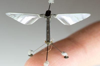 Das vorige Modell der RoboBee.