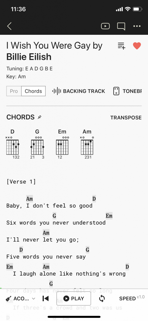 Screenshot Format der Songs für Gitarre lernen online