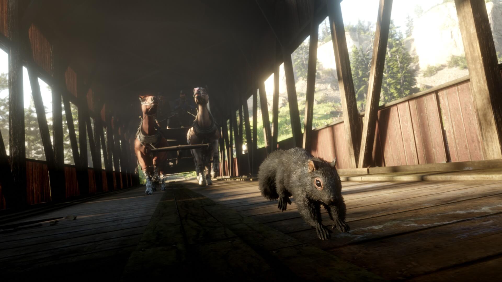 Red Dead Redemption 2 Eichhrnchen Perfekt