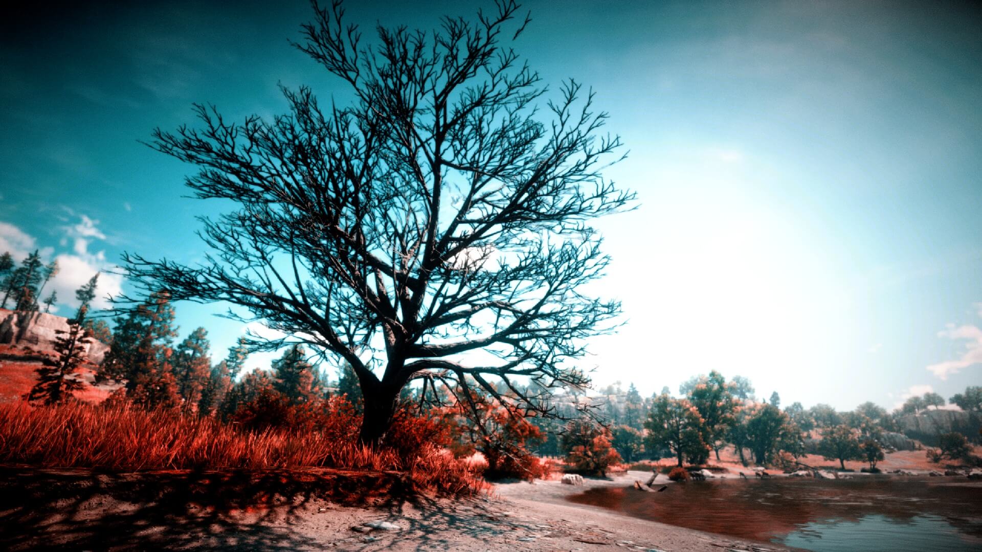 Red Dead Redemption 2 Fotomodus Digitale Schnappschüsse Netzpiloten.de