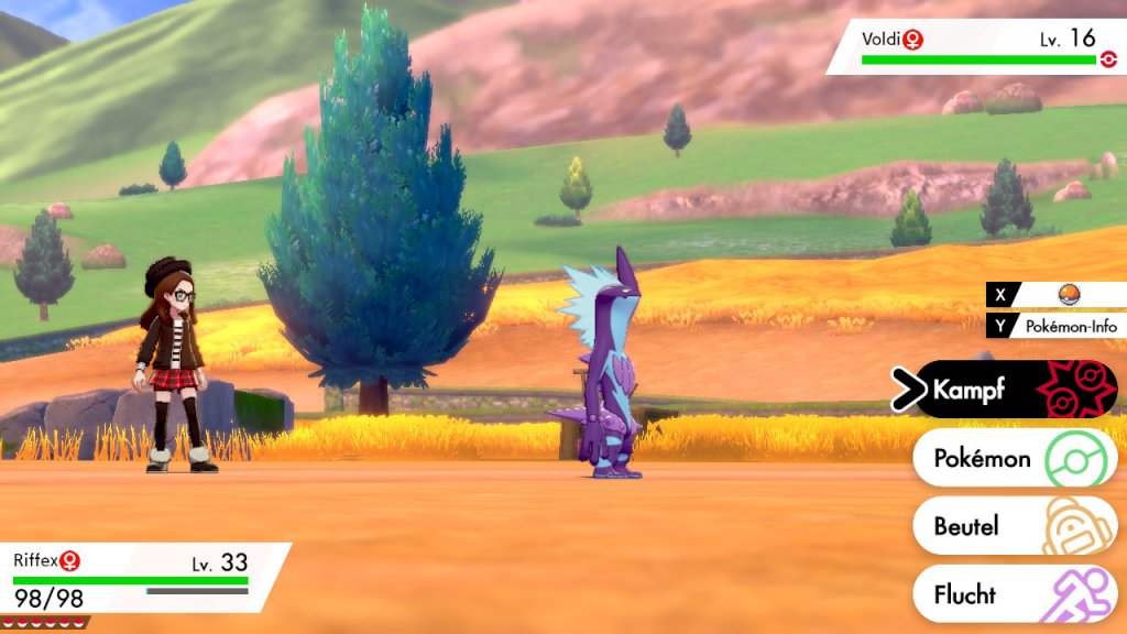 Screenshot aus Pokémon Schwert von Philipp Bader. Spiel von Nintendo
