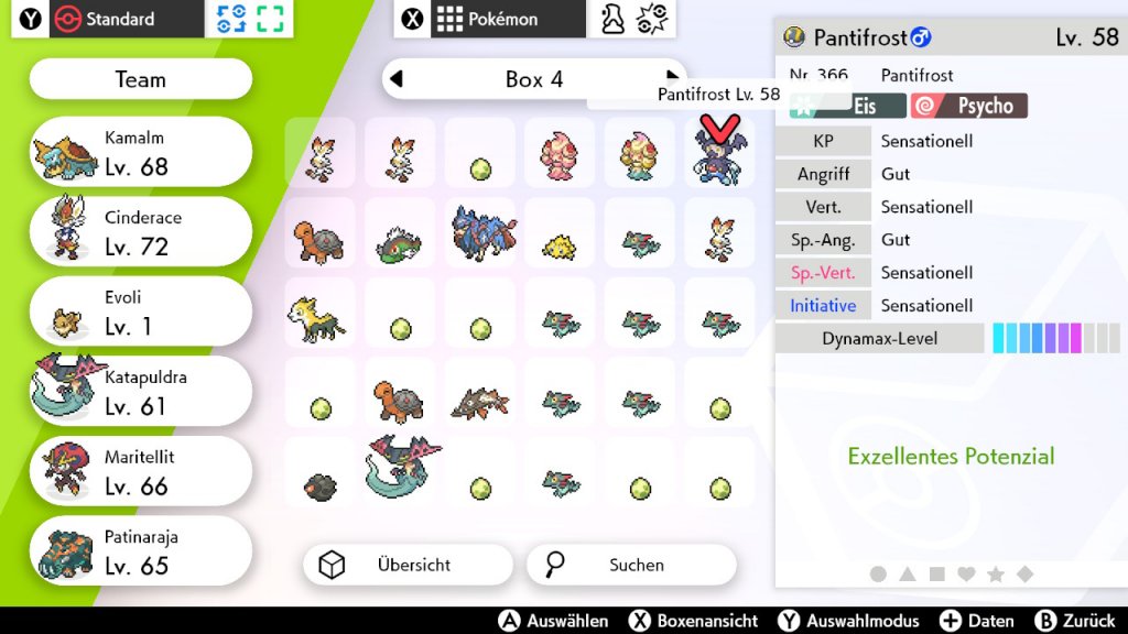 Screenshot aus Pokémon Schwert von Philipp Bader. Spiel von Nintendo