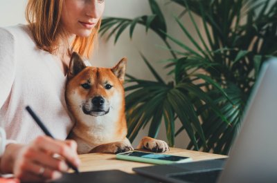 Arbeiten in Zeiten von Corona / Bild von iana_kolesnikova via stock.adobe.com