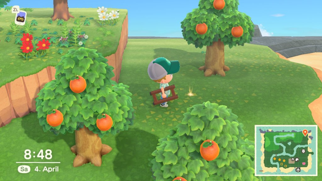 Sterni Loch in Animal Crossing: NEw Horizons / Screenshot aus Animal Crossing: New Horizons von Moritz Stoll