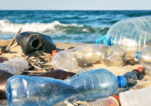 Plastikmüll am Strand - Titelbild für Artikel zu ReplacePlastic / Bild von marina_larina via stock.adobe.com