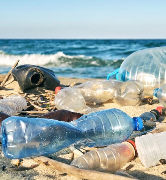 Plastikmüll am Strand - Titelbild für Artikel zu ReplacePlastic / Bild von marina_larina via stock.adobe.com