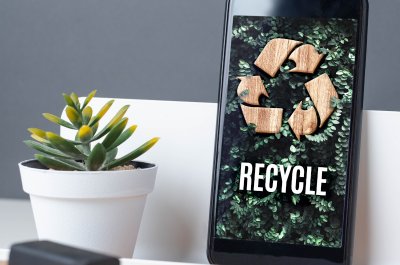 Smartphone mit grünen Bildschirm neben Pflanze -Titelbild zu "Die besten Apps für ein nachhaltigeres Leben" / Foto via AdobeStock von weedezign