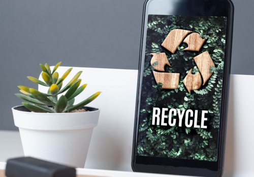 Smartphone mit grünen Bildschirm neben Pflanze -Titelbild zu "Die besten Apps für ein nachhaltigeres Leben" / Foto via AdobeStock von weedezign