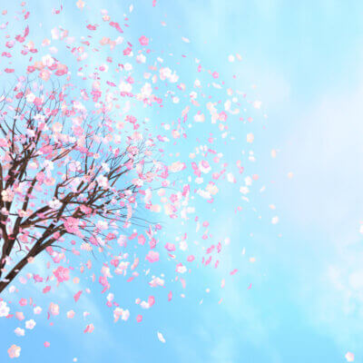 Coverbild Die zehn besten Anime auf Crunchyroll fürs schnelle bingen: 3D-Rendering-Bild der Kirschblüte gegen den blauen Himmel.