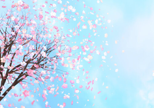 Coverbild Die zehn besten Anime auf Crunchyroll fürs schnelle bingen: 3D-Rendering-Bild der Kirschblüte gegen den blauen Himmel.