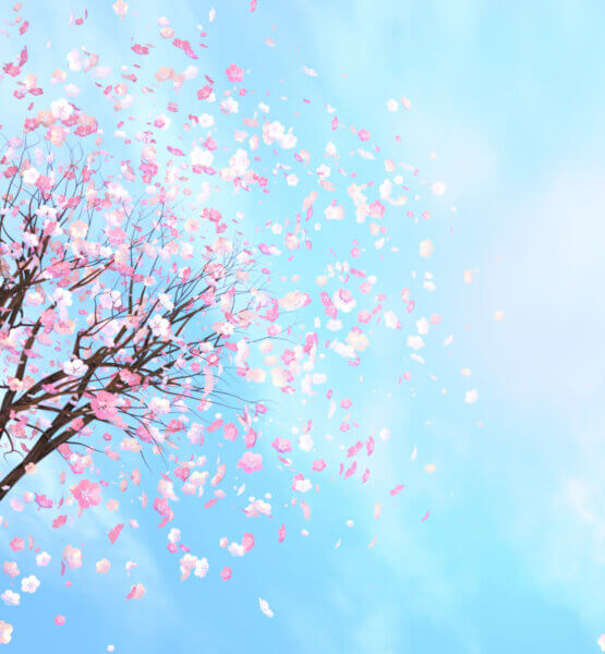 Coverbild Die zehn besten Anime auf Crunchyroll fürs schnelle bingen: 3D-Rendering-Bild der Kirschblüte gegen den blauen Himmel.