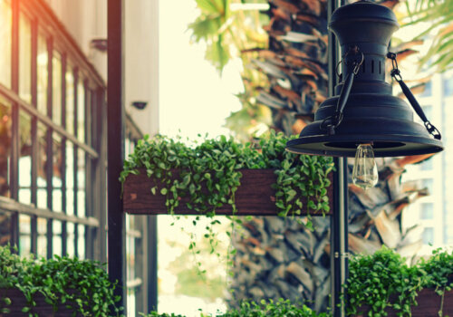 Pflanzen und eine Lampe