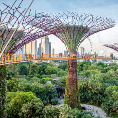 Ein Park in Singapur, dessen mit Blumen bewachsene Stahlkonstruktionen wie riesige, exotische Bäume anmuten. Durch diese Bäume führt eine Fußgängerbrücke. Drunter ist ein dichtbewachsener Park.