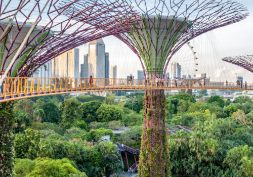 Ein Park in Singapur, dessen mit Blumen bewachsene Stahlkonstruktionen wie riesige, exotische Bäume anmuten. Durch diese Bäume führt eine Fußgängerbrücke. Drunter ist ein dichtbewachsener Park.