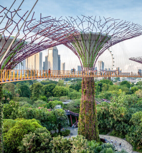 Ein Park in Singapur, dessen mit Blumen bewachsene Stahlkonstruktionen wie riesige, exotische Bäume anmuten. Durch diese Bäume führt eine Fußgängerbrücke. Drunter ist ein dichtbewachsener Park.