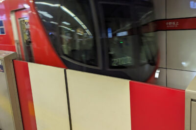 eine rote U-Bahn fährt in einen Bahnsteig ein. DIe Zugänge sind mit Barrieren abgesichert.