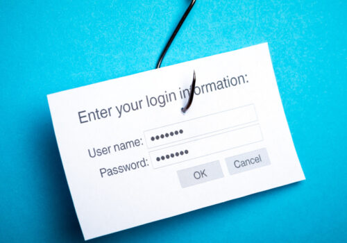 Ein Bild von einem weißen Papier auf einem blauen Hintergrund, das ein Login-Formular darstellt mit Feldern für "User name" und "Password". Über dem Formular steht "Enter your login information:". Das Papier hat einen Angelhaken durchstochen, was auf den Begriff "Phishing" anspielt.