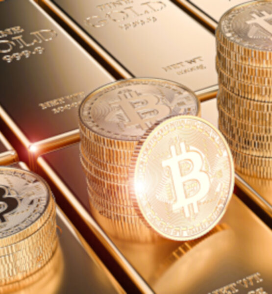 Bitcopin Münzen stehen auf einer Palette Goldbarren
