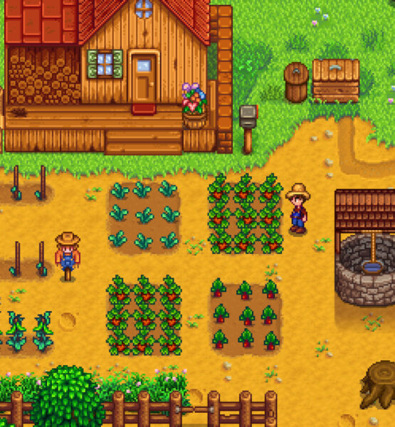 Screenshot aus Stardew Valley. Der Spieler steht vor seinen Feldern, die umzäunt sind und einen Brunnen in der Nähe haben.