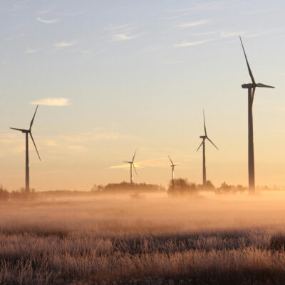 Auf einem nebeligen Feld in der Morgendämmerung stehen mehrere Windkraftanlagen.