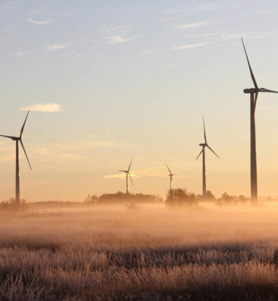 Auf einem nebeligen Feld in der Morgendämmerung stehen mehrere Windkraftanlagen.